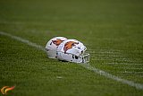 RL: Paderborn Dolphins vs. Münster Phoenix 2026
