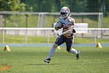 RL: Remscheid Amboss vs. Münster Phoenix 2026