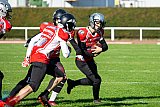 SG Shamrocks/Devils vs. Wuppertal GreyhoundsU19