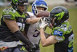 Testspiel: Lippstadt Eagles vs. Bocholt Rhinos
