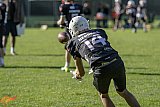 U16- Münster Phoenix vs. SG Bulldogs/White Hawks-OJ
