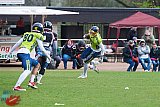 WB: Wuppertal Greyhounds vs. Assindia Cardinals